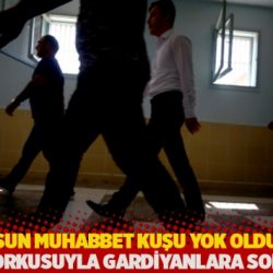 Mahpusun muhabbet kuşu yok oldu: 'Darp edilme korkusuyla gardiyanlara soramıyor'