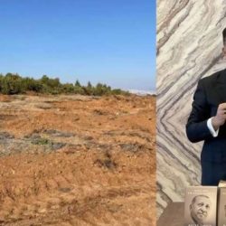 Tepkiler sonuç verdi: 185 ağaç kesen AKP ’li isme 5 bin fidan dikme cezası