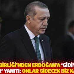Tabipler Birliği'nden Erdoğan'a 'Gidiyorlarsa gitsinler' yanıtı: 2023'te onlar gidecek biz kalacağız